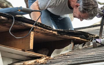 common causes of Paradise Green fascia damage