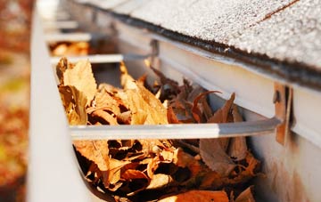 Paradise Green gutter cleaning companies
