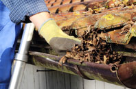 Paradise Green gutter cleaners