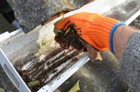 rated Paradise Green gutter cleaning companies